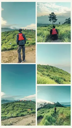 5 pict aesthetic 