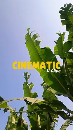 11 Video Cinematic