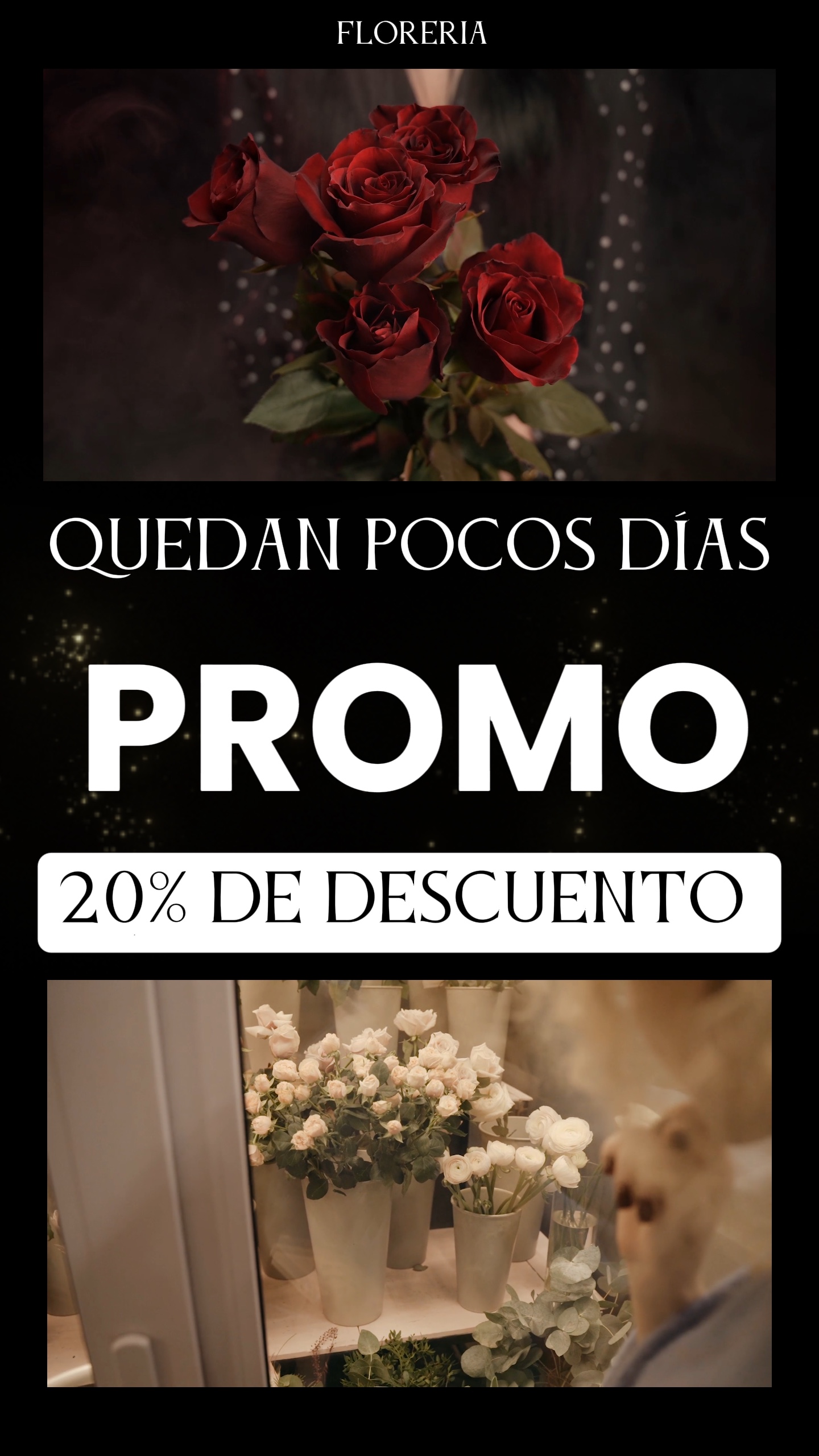Promo rosas