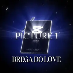Brega do love