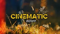 cinematic nature