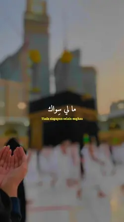 Maly siwak - Maher