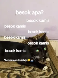 besok kamisss