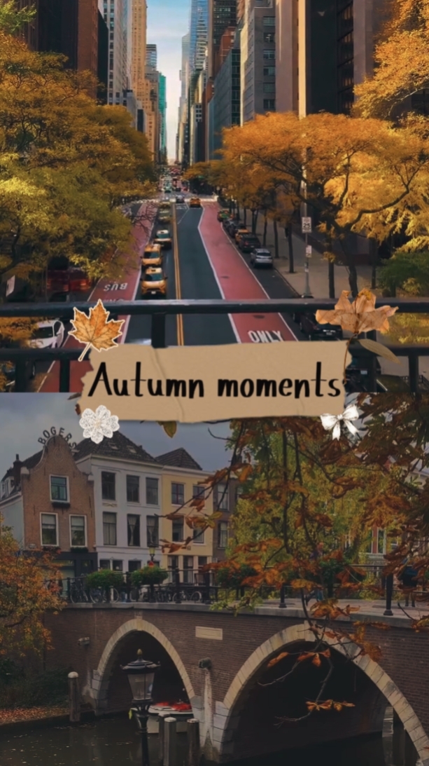 autumn moments