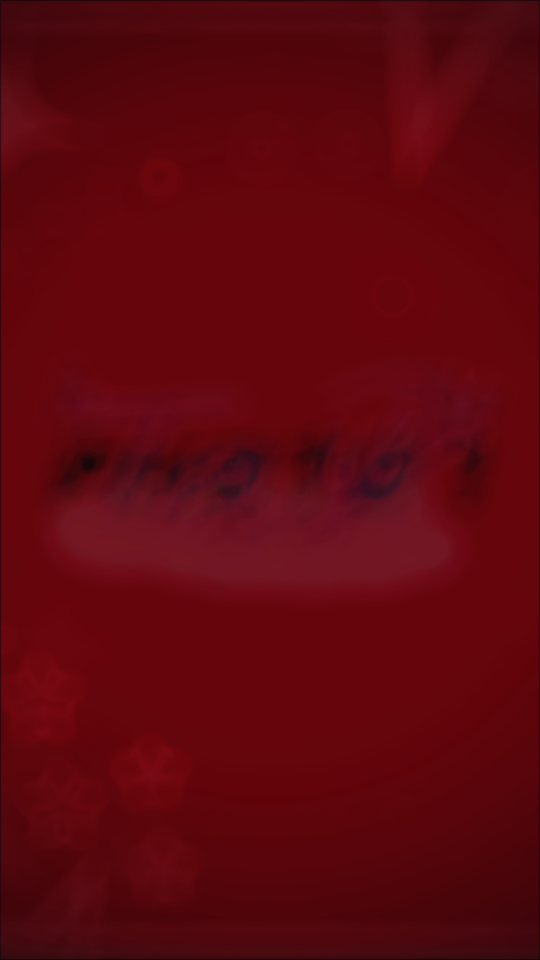 VEXY EDIT MASTAR