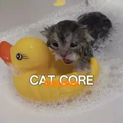 Cat core :D