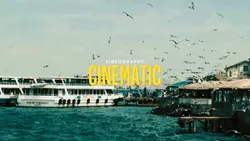 Cinematic Vidiograpy