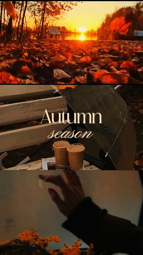Temporada de outono