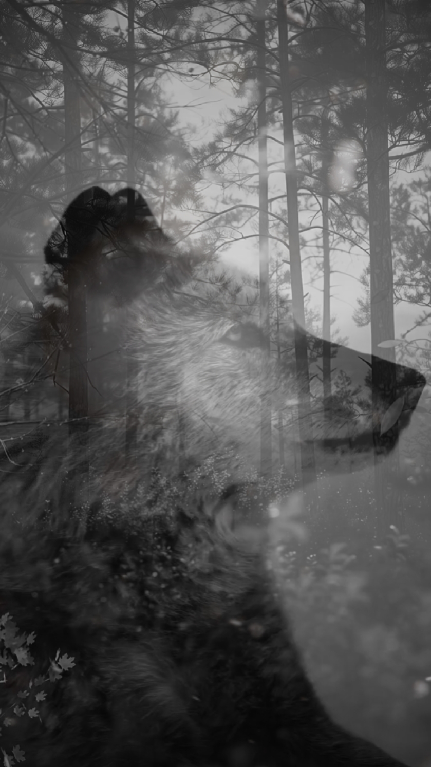 ESPRIT LOUP 
