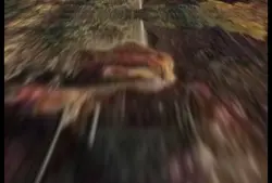 Romans z obrazu