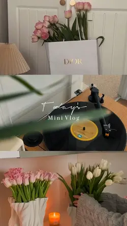 mini vlog 