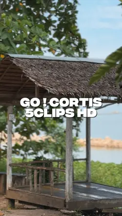 Go! CORTIS 5C