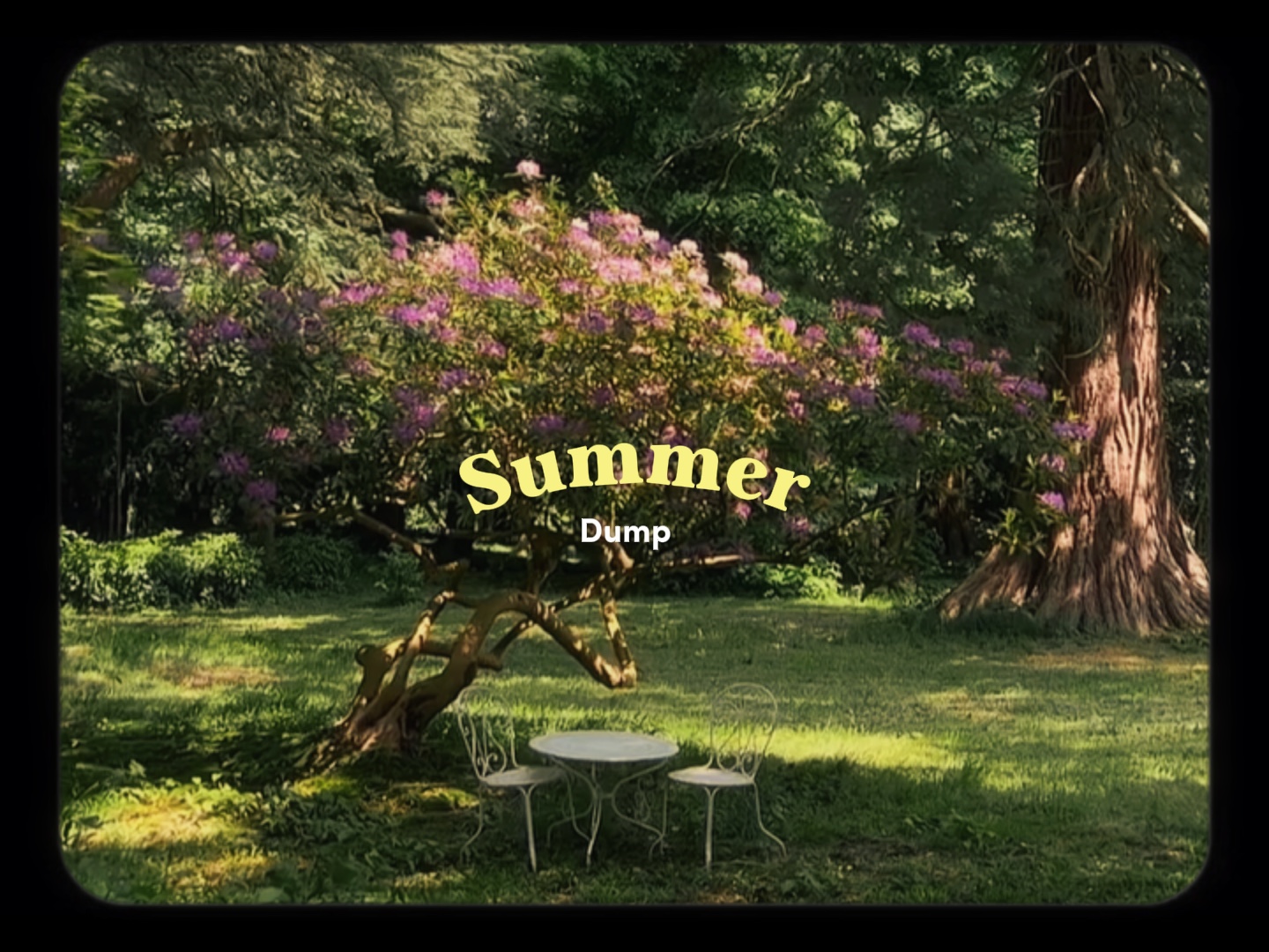 ✩ ready for summer ✩