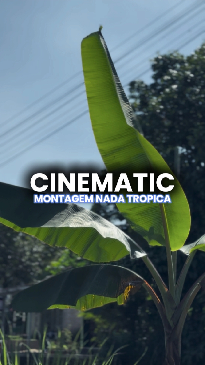 TROPIKA NG MONTAGM NADA
