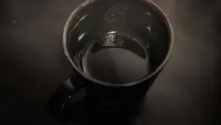vlog rotina 