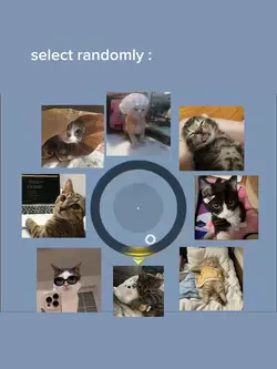 surprise wheel