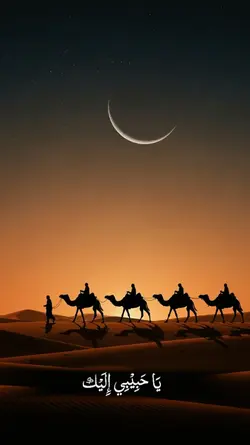 qolbi fil madina