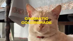 CINEMATIC COLORGRADE
