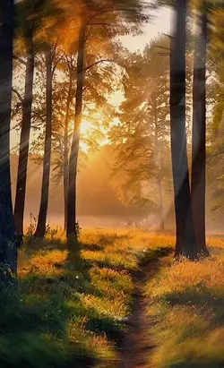BEAUTIFUL JOURNEY 