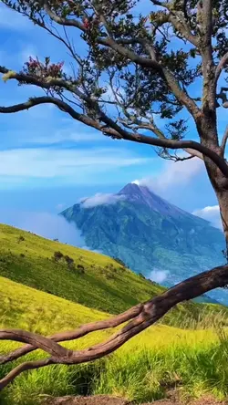 Ai Dengarkan Aku
