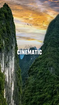 Nature Cinematic