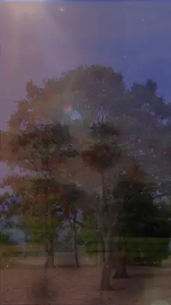 ไม่มีคำบรรยาย