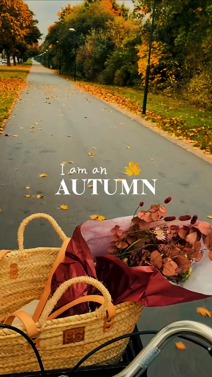 Estética de otoño 🍂