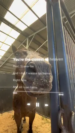 lyrics ⚠️FAKE⚠️