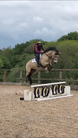 slowmo!