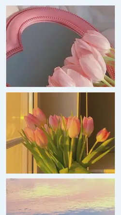 seasons scroll photo