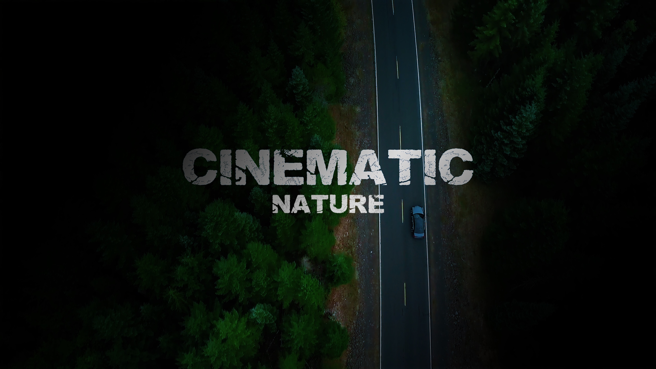 CINEMA NATUREZA