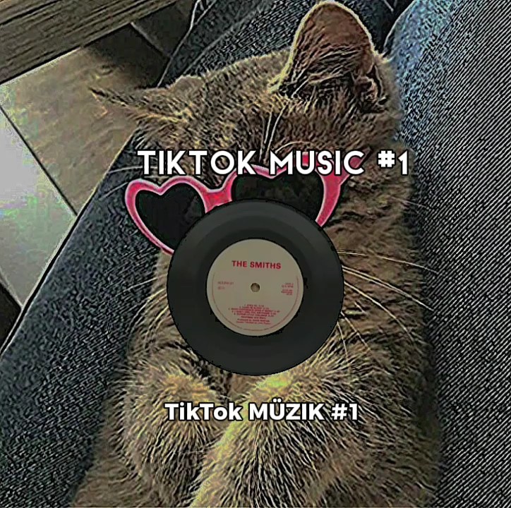 Tiktok Müzik 1