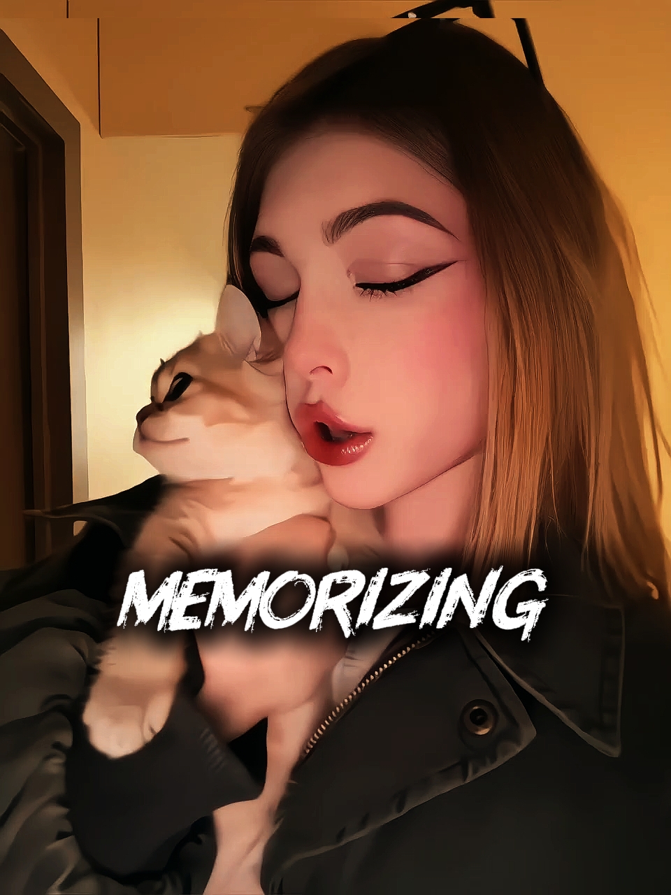 MODIFIER LE MODÈLE SIMPLE