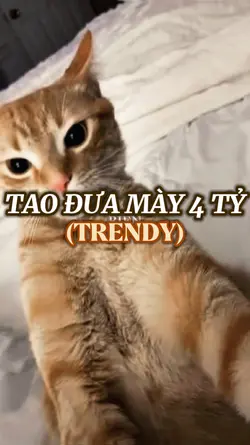 TAO ĐƯA MÀY 4 TỶ