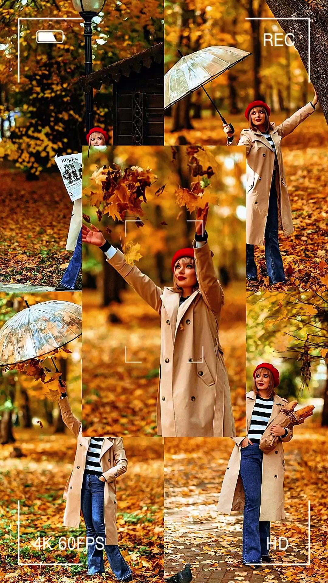 New Photo Transition