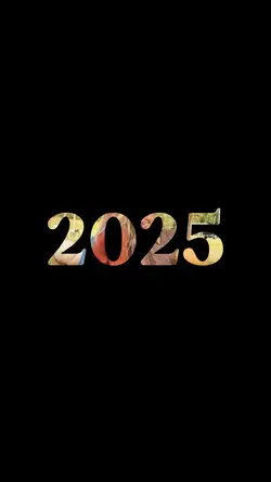 2025 recap ✨