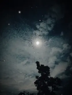 သံလွင်ချောင်းခြား❤️