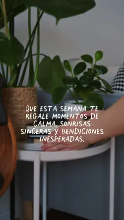 Nueva semana 