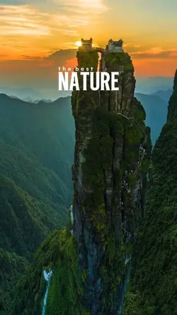 the best nature