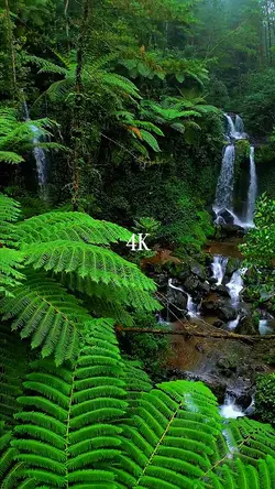 camera 144p VS 4K
