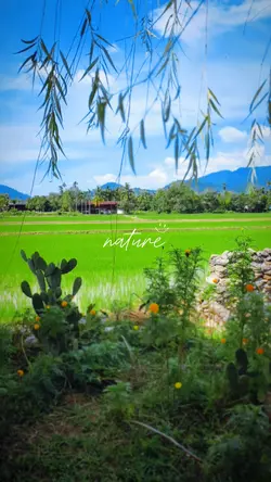 nature