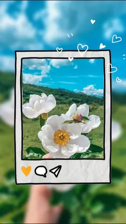 frame