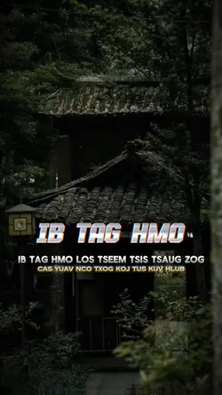 Ib tag hmo