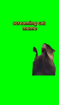 screaming cat meme