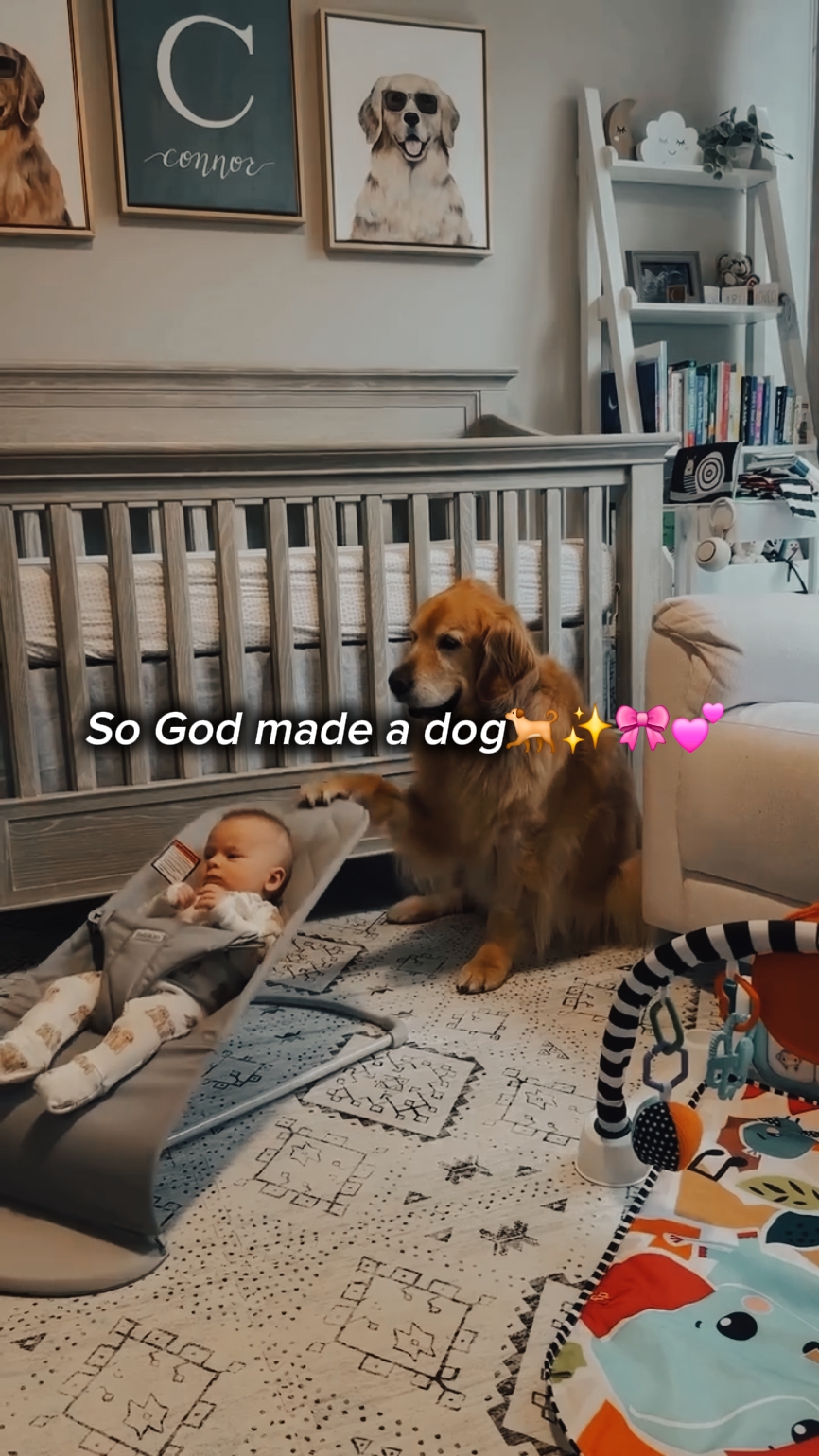 Así que Dios hizo un perro.