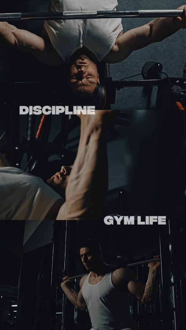 DISCIPLINA