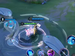 Rov เดินตาม