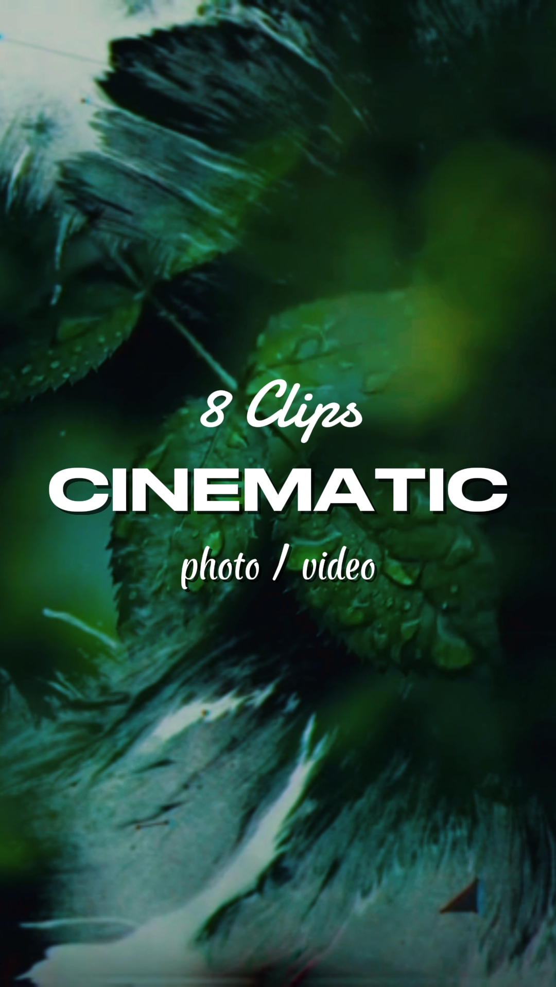 CINEMATIC AESTHETIC