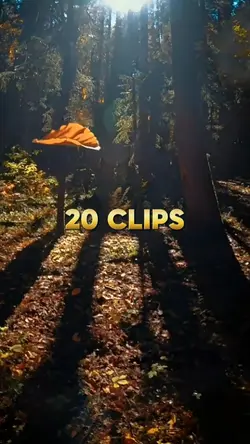 20 clips