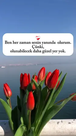 daha güzel yer yok